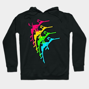 Weedy sea dragon (Phyllopteryx taeniolatus) rainbow Hoodie